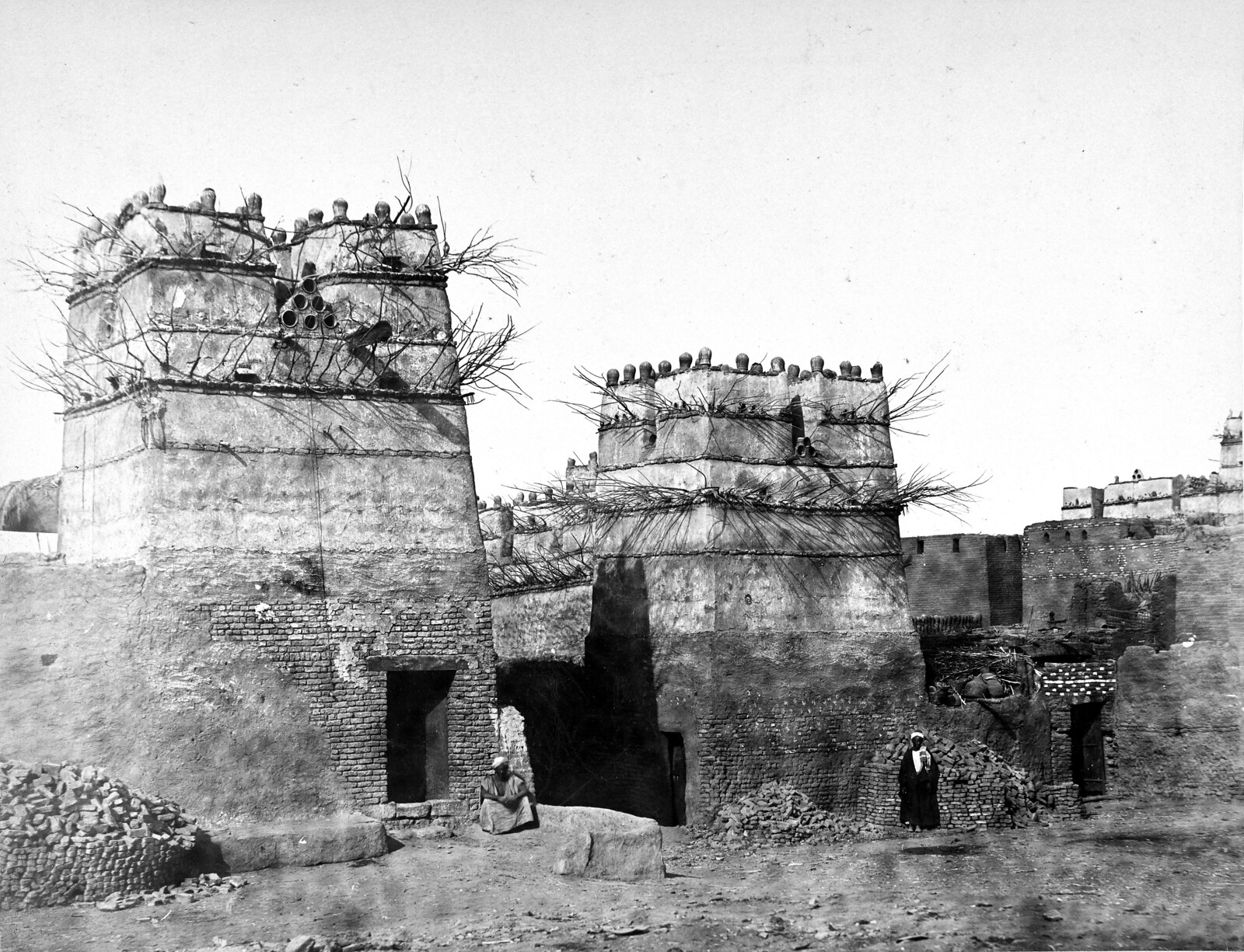 Egyptische duiventil